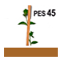 PES45